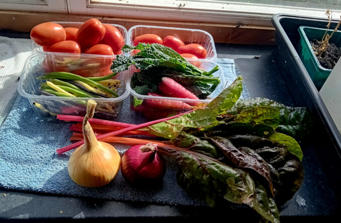 GoingPostalBlog's tweet photo. A View From (The Plot By) The Greenhouse; Unintended Consequence? by @LordBriRobert1 - https://t.co/XC3TlPuY47 
#18thCentury #20thCentury #Cooking #Diary #Gardening #History #Politics #ByElections #Nettles #NomDePlume #Peppers #Soup https://t.co/lz4L4huYfs