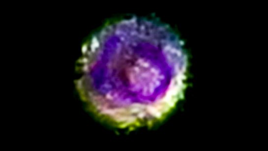 StarVisionCom's tweet photo. StarVision Communications is seeking photographers, astrophotographers, scientists, and independent researchers interested in helping investigate a recurring phenomenon found across a large collection of astronomical images.  

We are especially interested in people willing to independently capture and analyze images of stars, planets, and the Moon using their own equipment and methods.  

The goal is simple: independent replication, comparison, and rigorous testing.  

If you are interested in participating, collaborating, or reviewing the evidence, please contact us.

Sirius Star System, taken on April 21, 2017