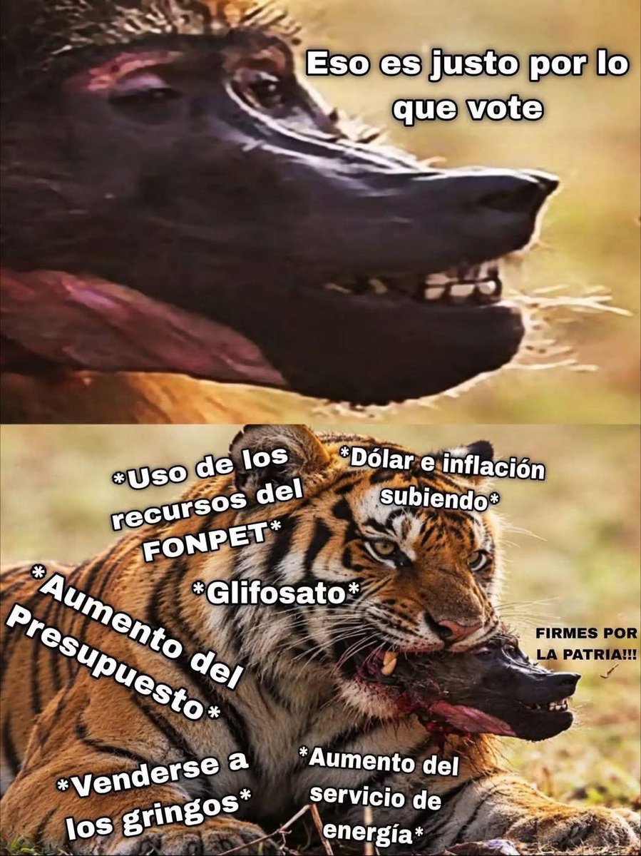 nacional_memes's tweet photo. 🐷 https://t.co/laACL0KhC1
