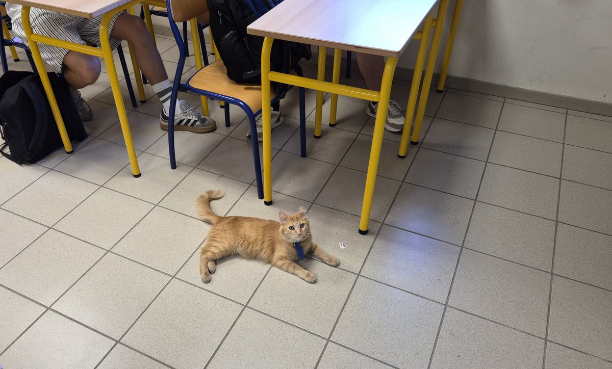 alexisdpmartin's tweet photo. Cet après-midi, j'ai eu un élève un peu particulier en classe... mais assez attentif ! 😁 https://t.co/Va7R0AgpkW