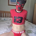Photo by 🕷️ Spidey-Pup🕷️ 🐾 (@SpideyPups)