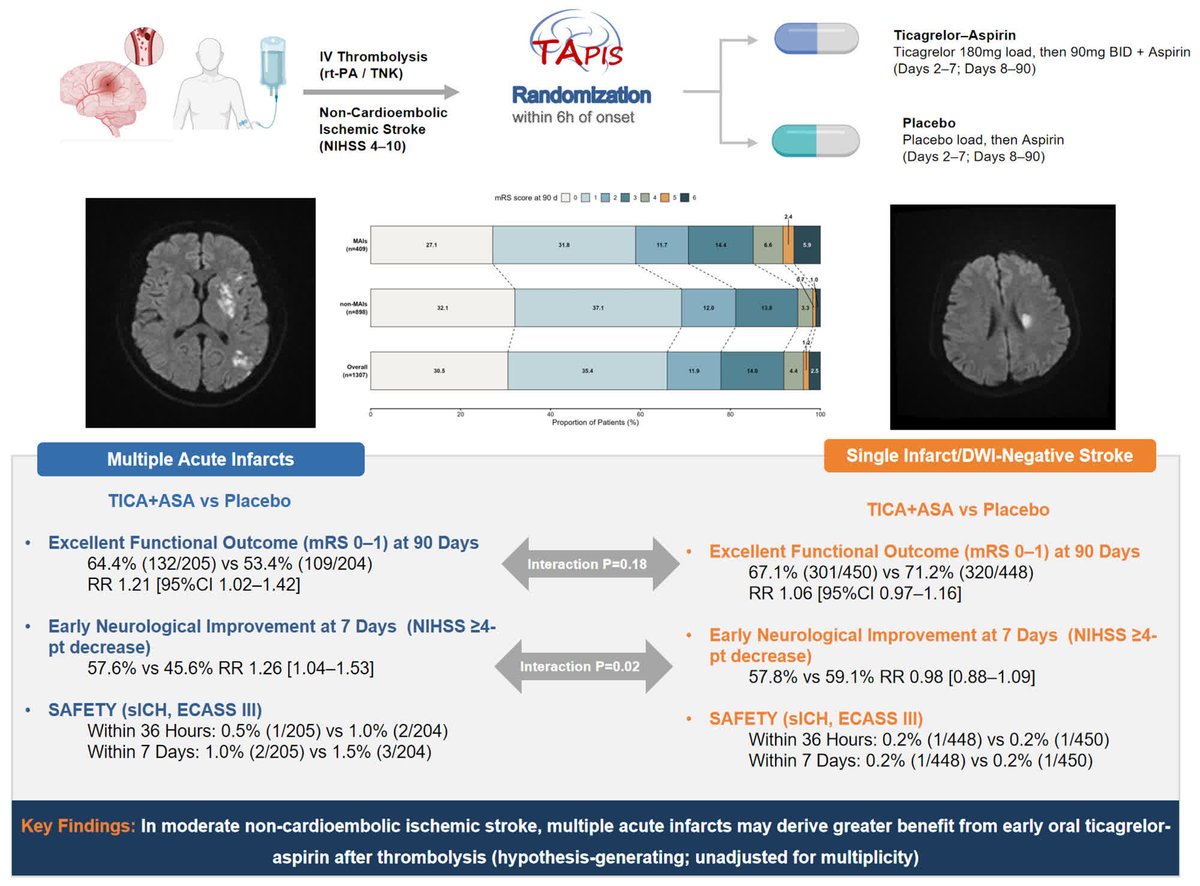Graphic abstract in Zi and He et al.