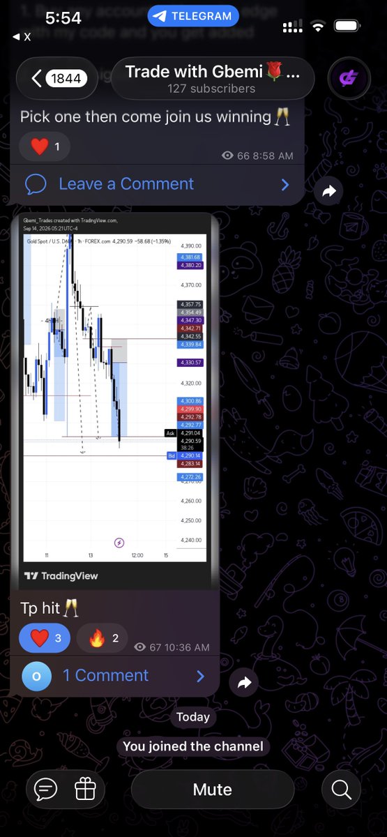 LayiandPIPS's tweet photo. @LynTrades @FundedNext @galibsyed_ @Flynnn_FN @Aeroonfx @Barbie_Trades https://t.co/FRuPX6VROy