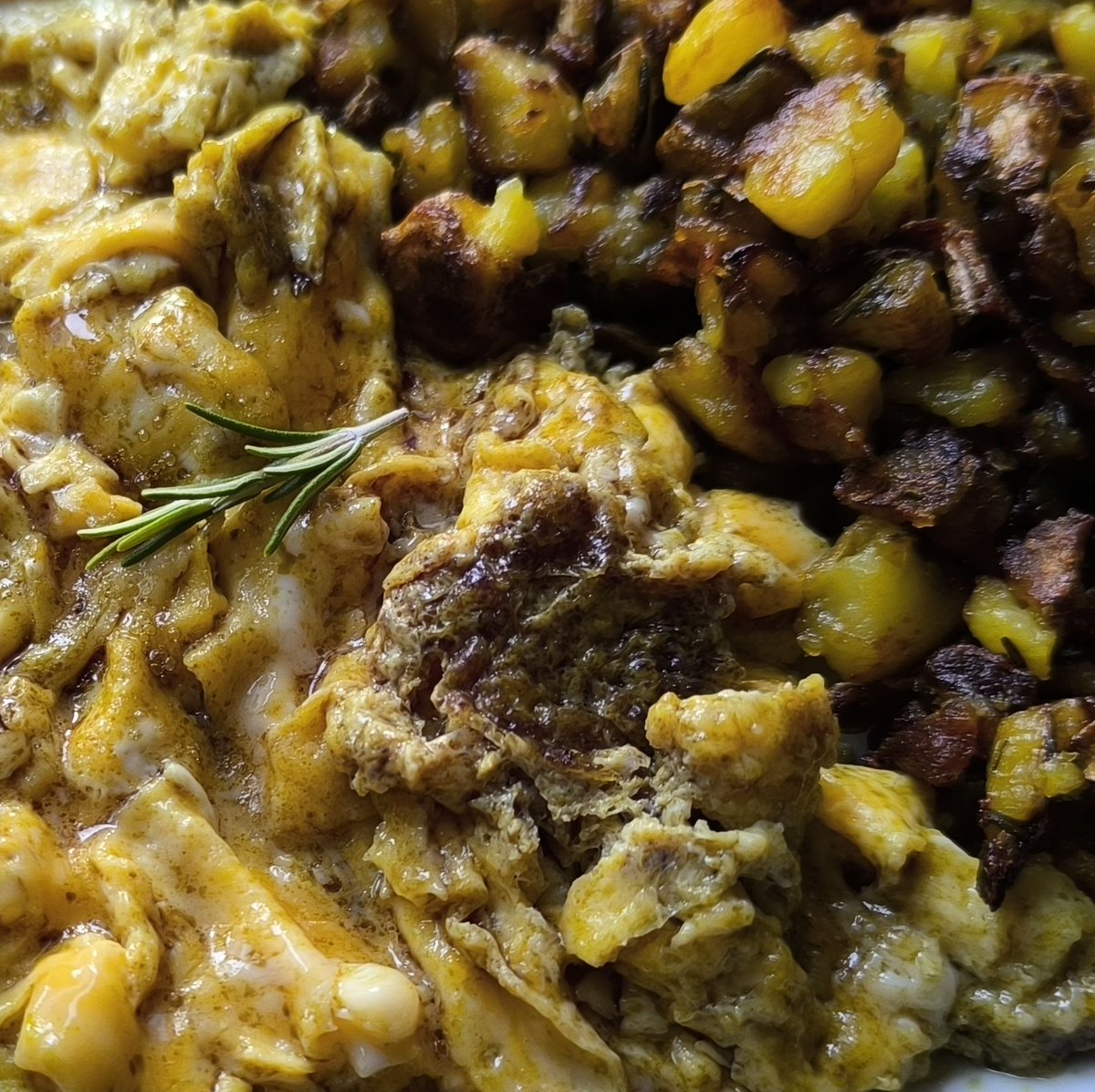 MikeKocht's tweet photo. Eine einfache #Eierspeise (aka #Rührei) wird durch steirischen #Kürbiskernöl zur Delikatesse.
Knusprige #Erdäpfel (#Kartoffel) mit #Rosmarin sorgen für den "Crunch"
Geschmack muss nicht immer viel Aufwand (&amp; Kosten) erfordern

https://t.co/ORiSWrBiat https://t.co/H8usDxKaVe