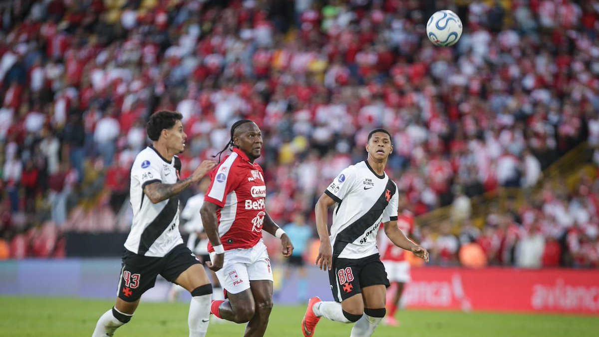 PactoCardenal2's tweet photo. Posible nómina titular de Vasco da Gama 

Léo Jardim; Puma Rodríguez, Carlos Cuesta , Lucas Freitas, Lucas Piton; Cauan Barros, Ramon Rique, Thiago Mendes; Marino Hinestroza, Nuno Moreira, Bruno Duarte https://t.co/r00WBBXBay