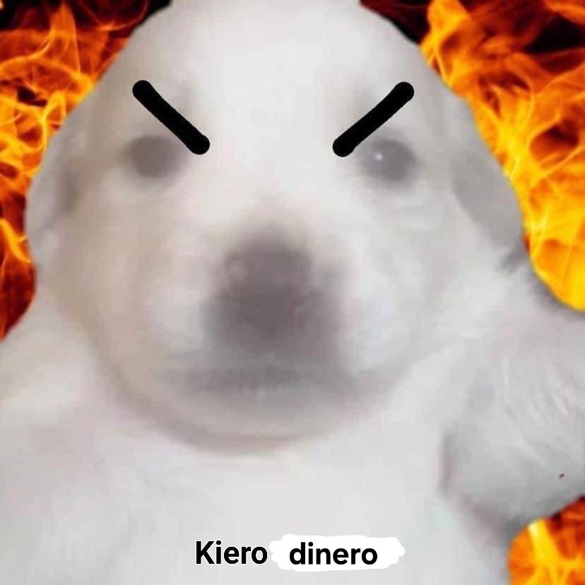 fernandaquip's tweet photo. A q hora depositan mi beca de 300 pesotes ??? https://t.co/F2M9xG1keo
