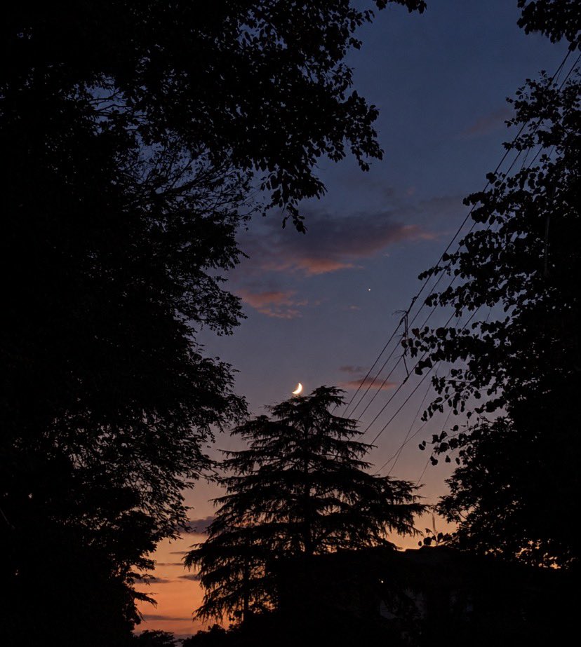 guyfromhills's tweet photo. the moon is pretty, isn’t it? https://t.co/dCuELhPCFV