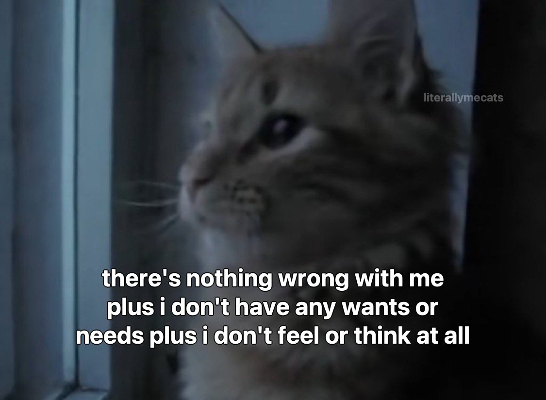 literallymecats's tweet photo. https://t.co/sb7GLvDRyM