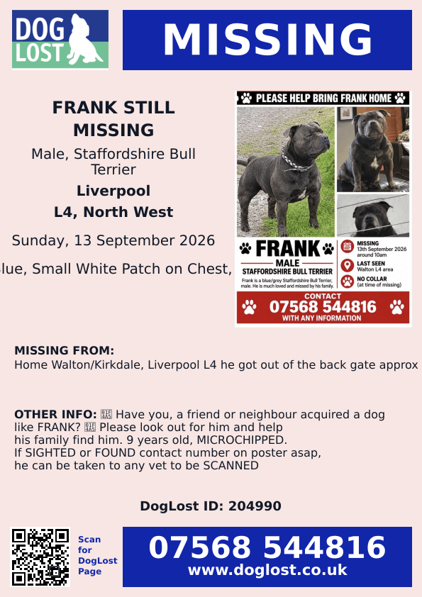 millypod1's tweet photo. 🆘13 SEPT 2026 #Lost FRANK #STILLMISSING #ScanMe Staffordshire Bull Terrier Male
Home #Walton/#Kirkdale #Liverpool #L4
He got out of the back gate approx 10.00am
https://t.co/3XCNrx419j
https://t.co/UGImq7IktZ https://t.co/kYF6tjNVLw