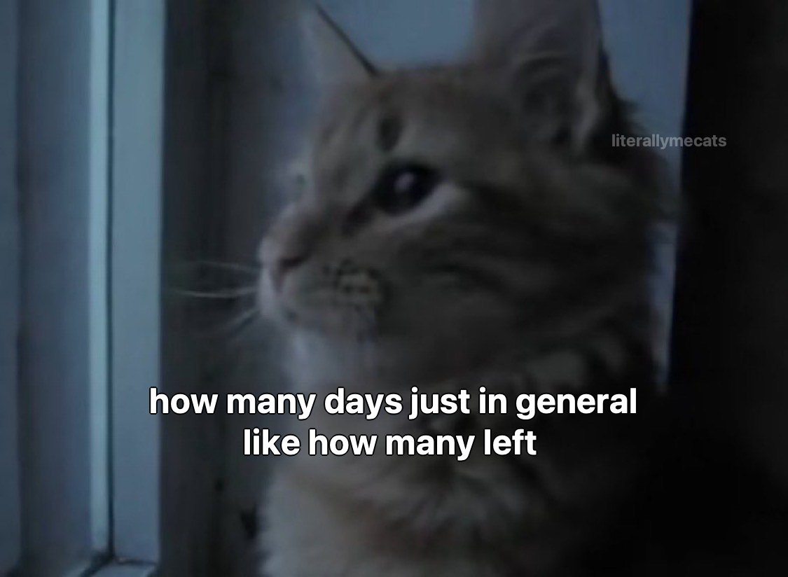 literallymecats's tweet photo. https://t.co/fmi35Qrcn3