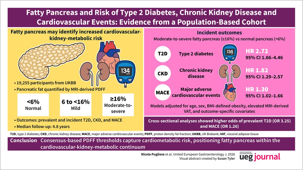 UEGJournal's tweet photo. 🧈 #FattyPancreas identifies higher cardiometabolic risk

🔸2.7× higher #T2D &amp; 82% higher #CKD risk
🔸Higher risk of cardiovascular events
🔸Even mild fatty pancreas was linked to increased risk

📖 #OpenAccess 👉 https://t.co/ThDoYT3WRQ
🎧 https://t.co/yWnQcqkWjK

@my_ueg https://t.co/0K5oBPWSEs