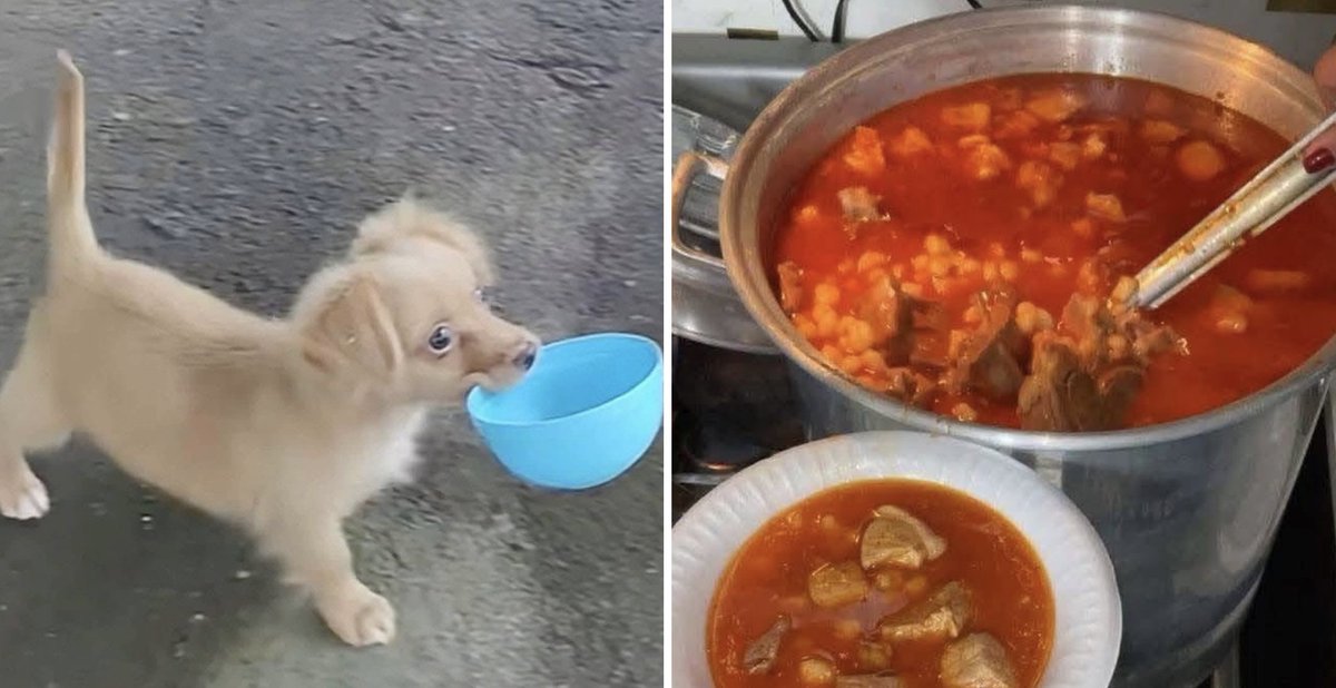 Guarromantico_'s tweet photo. Yo cuando hay pozole: https://t.co/5m1yHL4rYY