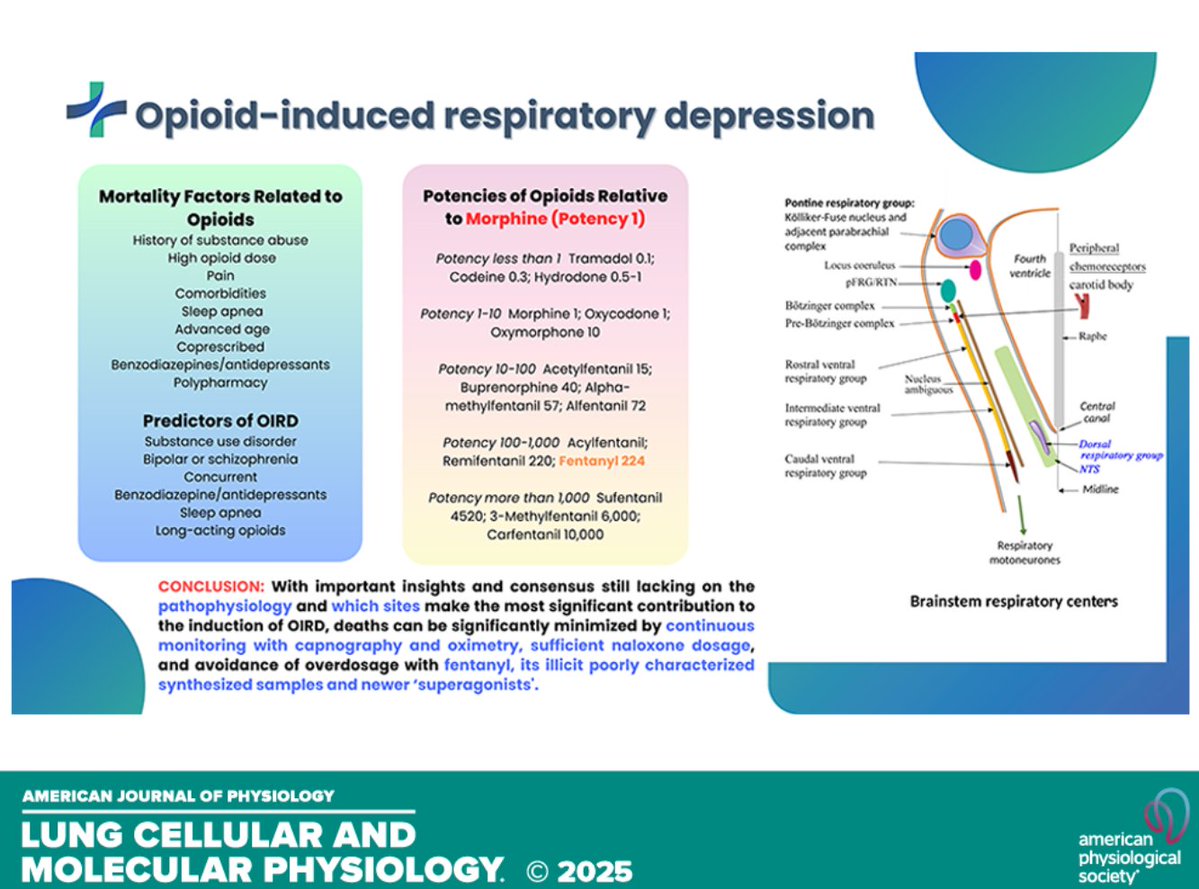 AJPLung's tweet photo. Learn more about the effects of #opioids on #breathing in this great article, Opioid-induced respiratory #depression: clinical aspects and #pathophysiology of the #respiratory network effects (Brian A. Baldo @NthSydHealth):

https://t.co/6a64uXXw9N https://t.co/fsU2H7D1E9