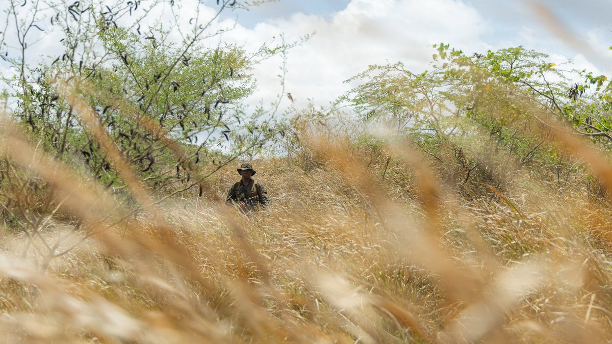 The24MEU's tweet photo. Hunting Ghosts
@USMC Marines with #v32, #lcf24, conduct a counter-UAS patrol base exercise.
U.S. military forces are deployed to @Southcom area of responsibility, in support of #JTFWHEM and @DeptofWar-directed operations. https://t.co/LcXCeeWWMT