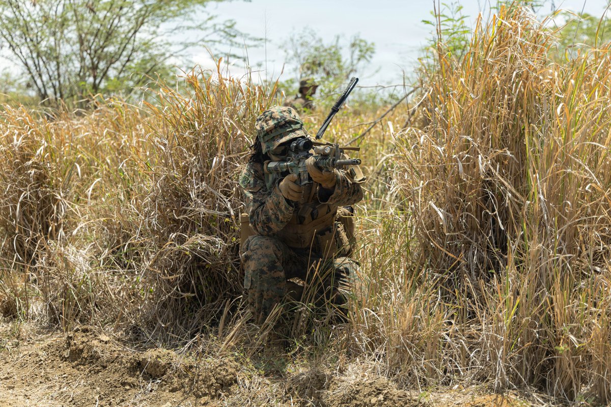 The24MEU's tweet photo. Hunting Ghosts
@USMC Marines with #v32, #lcf24, conduct a counter-UAS patrol base exercise.
U.S. military forces are deployed to @Southcom area of responsibility, in support of #JTFWHEM and @DeptofWar-directed operations. https://t.co/LcXCeeWWMT