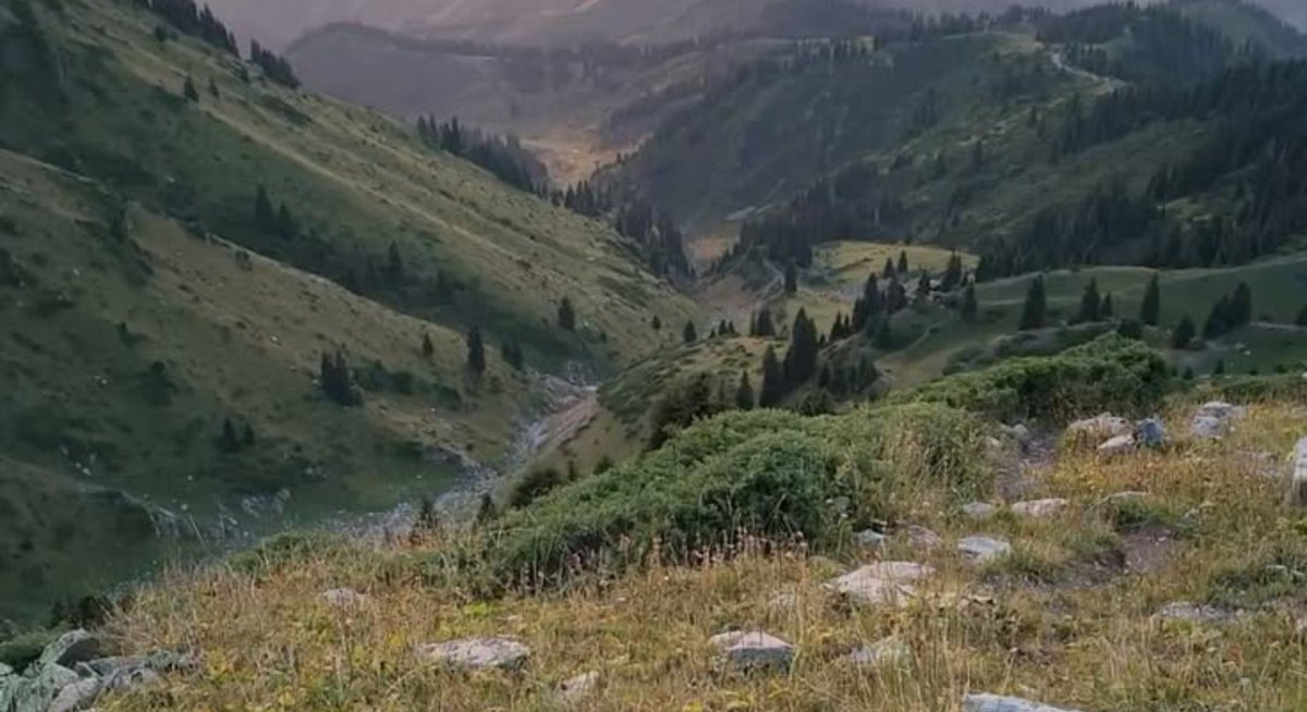 _zehraaogur's tweet photo. Ger hemû kes aşiqê malê dinê çavên reşin
Ez evîndarê çiya û deşt û zinarê teme https://t.co/3s0CsWnU0Q
