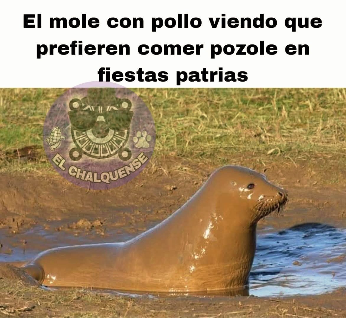 MadreSemestrosa's tweet photo. 😂🇲🇽 https://t.co/FmAeSj99nA