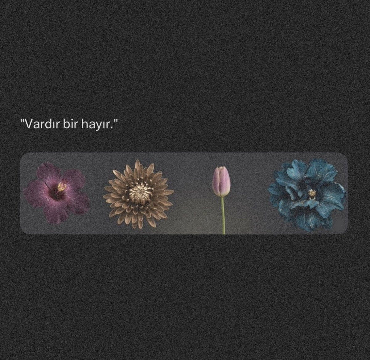 kalpileyasamak's tweet photo. Teslimiyet https://t.co/NSZO7pl2LO