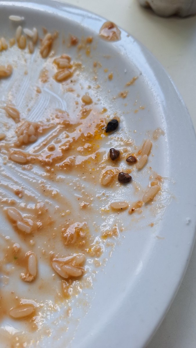 powernn's tweet photo. Hoje almoço na uff foi topex, quase quebrei o dente :D, oomf tbm achou quatro pedrinhas, feijao aditivado com ferro! Amooooo💔💔 https://t.co/7EtddueBqt