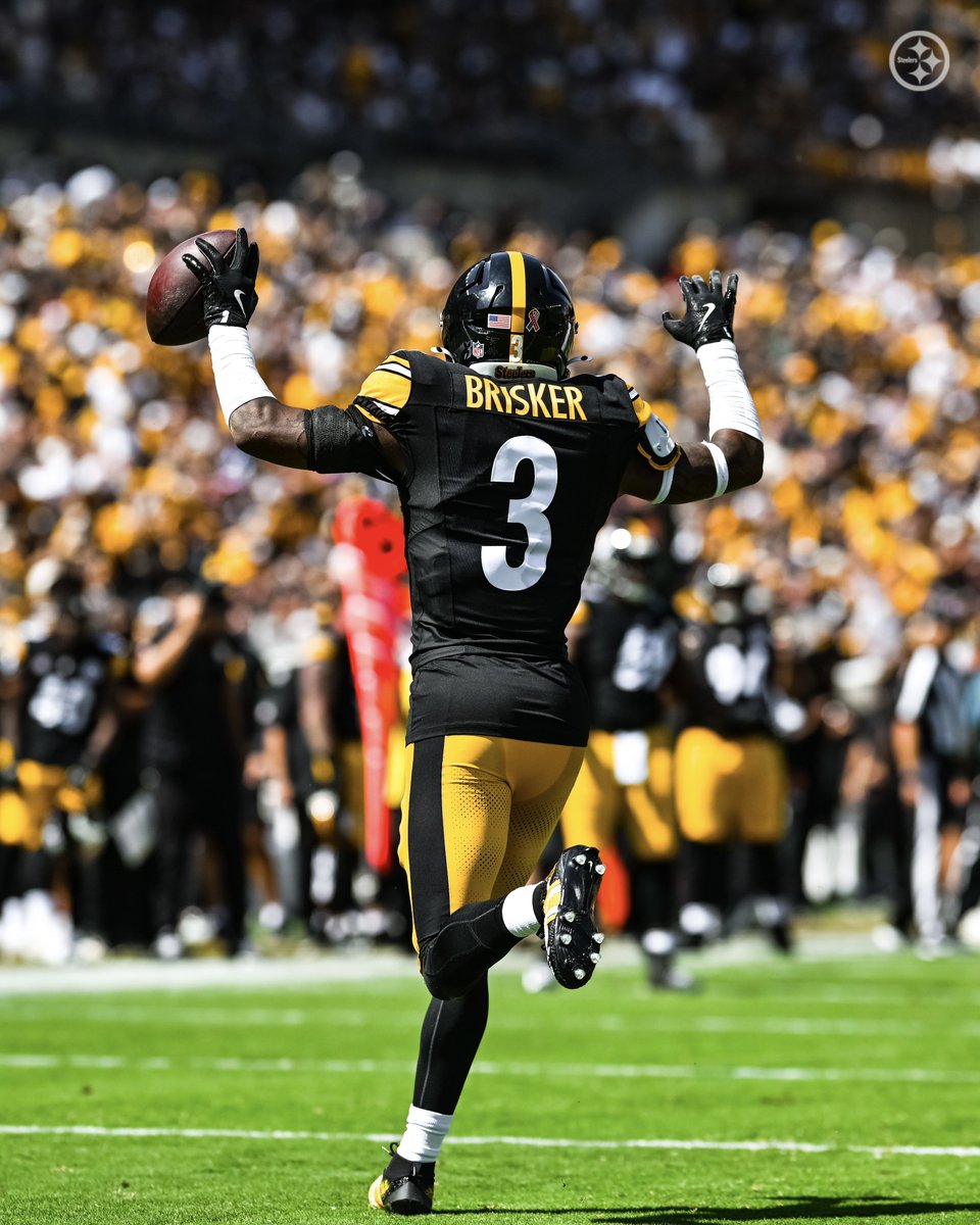 steelers's tweet photo. No tea just Brisk 🥶 https://t.co/pea4lKyTHV