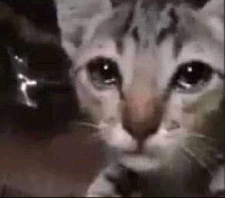nathhstar's tweet photo. ohh no puedo ponerme la jersey de México sin llorar https://t.co/P4bqSnmAyf