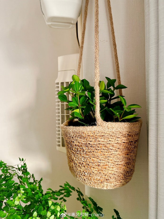 crabs477927's tweet photo. Just finished my custom macramé plant hanger! Saved $20 + can’t wait to hang my pothos. DIY wins again https://t.co/TyZfj4UBfL