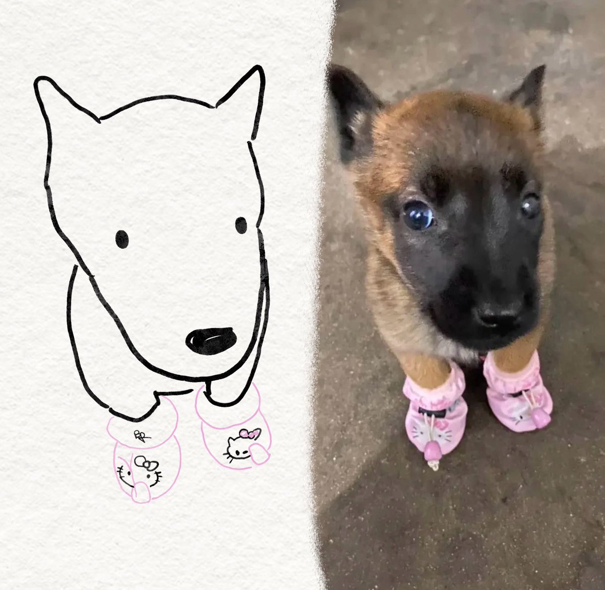 twaniimals's tweet photo. https://t.co/VT2ebjxi2u