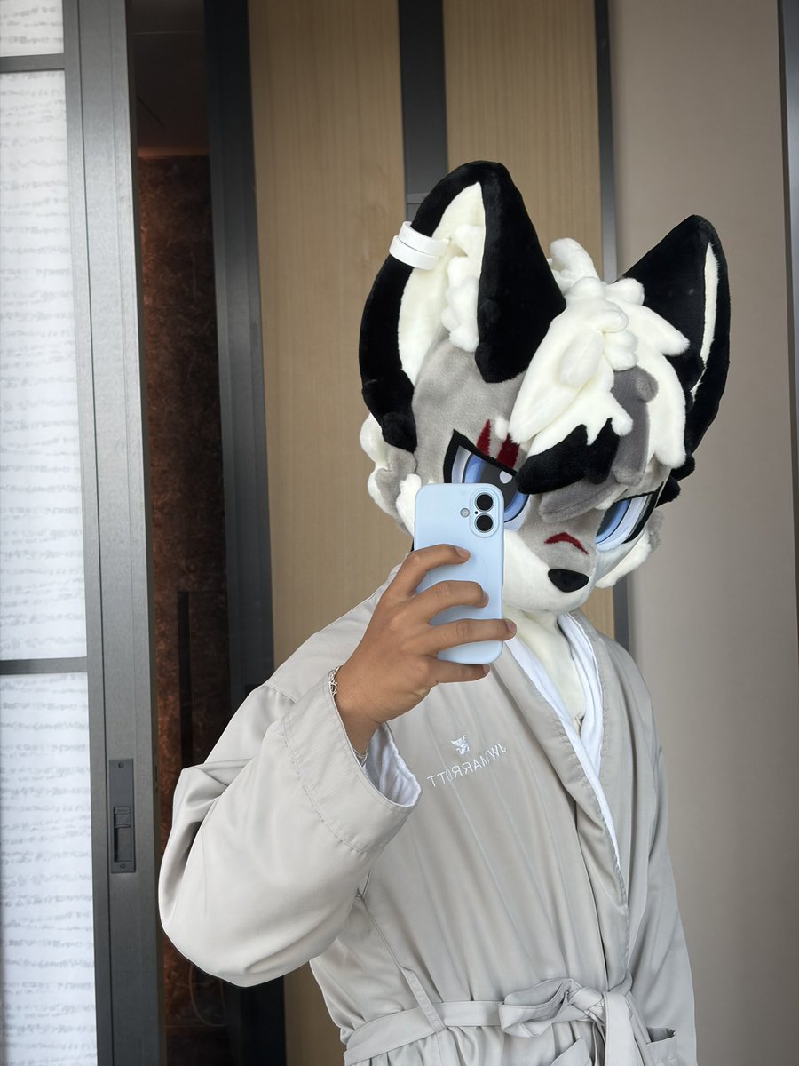 Kiritowolfski's tweet photo. 来这里做个简单的自我介绍 
我是 Kirito，一只喜欢健身、毛毛和拍照的小狼。
慢热，不擅长主动，熟了以后可能会有点黏人。

这里会发一些 furry、健身和日常以及一些住过的酒店
偶尔也会有一点深夜情绪。

语言：中文｜Eng｜日本語

如果你也喜欢小狼，或者单纯觉得我还挺有意思
欢迎留下来认识一下。 https://t.co/YchV6Fiw9E