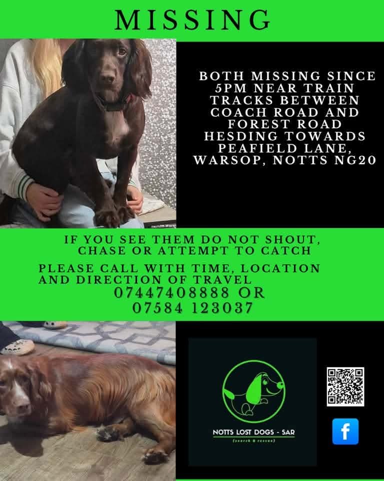 MissingPetsGB tweet picture