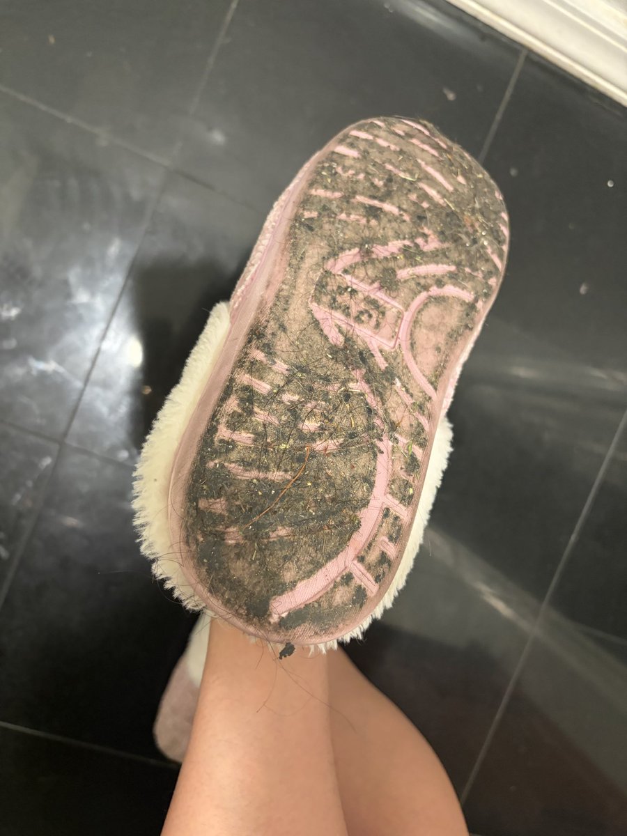 brattytainaa's tweet photo. you’re favorite snack.

findom https://t.co/chNWevsvET