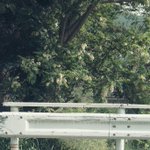 Photo by 読モ (@280km)