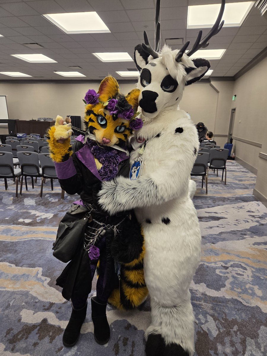DownumTheDivine's tweet photo. Met a lovely deer creature!
Very tall, soft and fluffy <3

🦌: @FinleyReindeer https://t.co/mhf1yw7Ufy