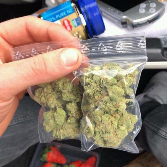 Kleinmarelkcif's tweet photo. 🌿 livraison rapide dans tous les coins DM moi pour commander 🇨🇵
Pour la Team France

 ☎️👉https://t.co/QYLOoZNMBo

WEED BEUH En Livraison sur commande

#NANTES #Avignon
#BORDEAUX
#orleans https://t.co/Y0WShwQ36q