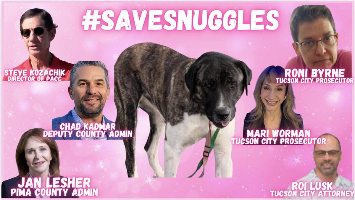 dontfckwjustice's tweet photo. 1x 
🧵: Pima County & City of Tucson - SNUGGLES CASE EXPOSED! #SaveSnuggles
This is EXPLOSIVE
🔥🔥🔥

🩷On May 30th, I made a public records request for all communications between city & county officials regarding the Sergeant Snuggles Case.

🩷 Today- almost FOUR months later, I got my documents.

🩷 Case Background:
Snuggles, a 1 yr old puppy, has been confined in a cement cell for over TEN MONTHS while his family fights his euthanasia order, for a 1st time bite incident of grandma  on private property- yet tax payer dollars have been wasted by Roni Byrne & co to make sure Snuggles is put to death.

🩷 New Info:
Roni Byrne refused a written offer back in May, by an aggressive dog sanctuary to take Snuggles out of Arizona- an offer both PACC & the Deputy County Administrator seemed on board with as a solution.

The family is fighting back, filed lawsuits in both state and federal court.

🚨How to Help🚨:
Keep the pressure on these government officials- ask that they negotiate with the family & LET SNUGGLES GO HOME

Roni.Byrne@tucsonaz.gov
Mayor.Romero@tucsonaz.gov
riley.stanton@pcao.pima.gov
Miranda.Piper@tucsonaz.gov
chad.kasmar@pima.gov    
Steve.Kozachik@pima.gov
Mari.Worman@tucsonaz.gov
Alan.Merritt@tucsonaz.gov
roi.lusk@tucsonaz.gov
MJ.Raciti@tucsonaz.gov
prosecutor@tucsonaz.gov
jan.lesher@pima.gov
district1@pima.gov
district2@pima.gov
district3@pima.gov
district4@pima.gov
district5@pima.gov