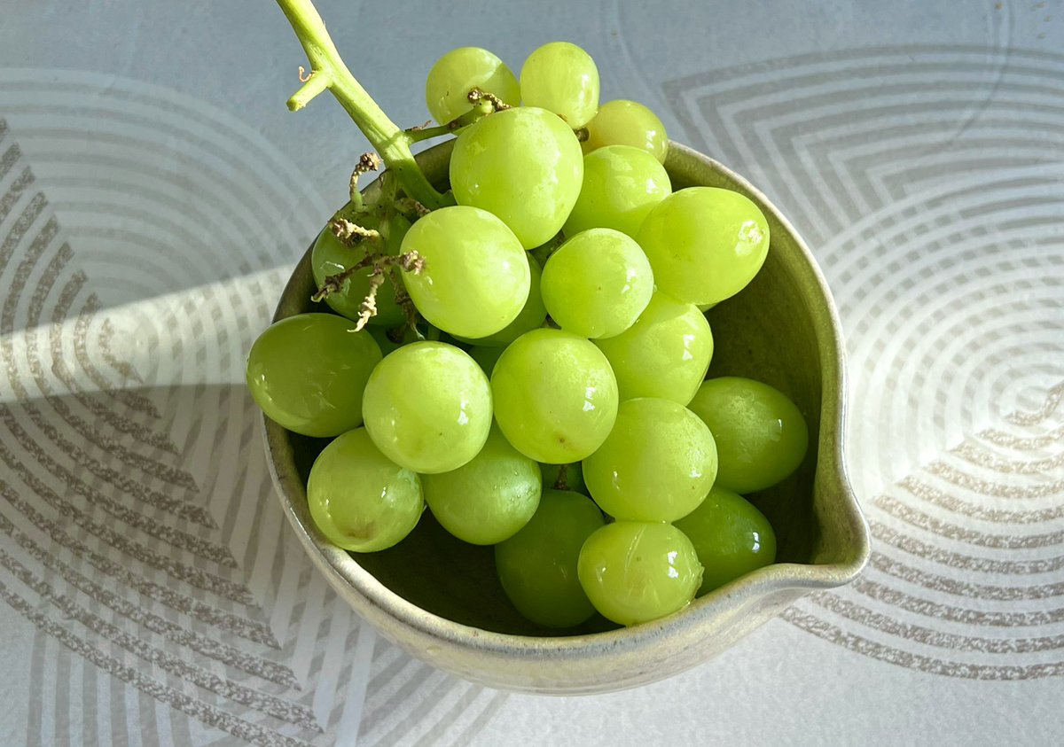balqysna's tweet photo. save me crunchy cold green grapes save me https://t.co/zjUMH75jSq