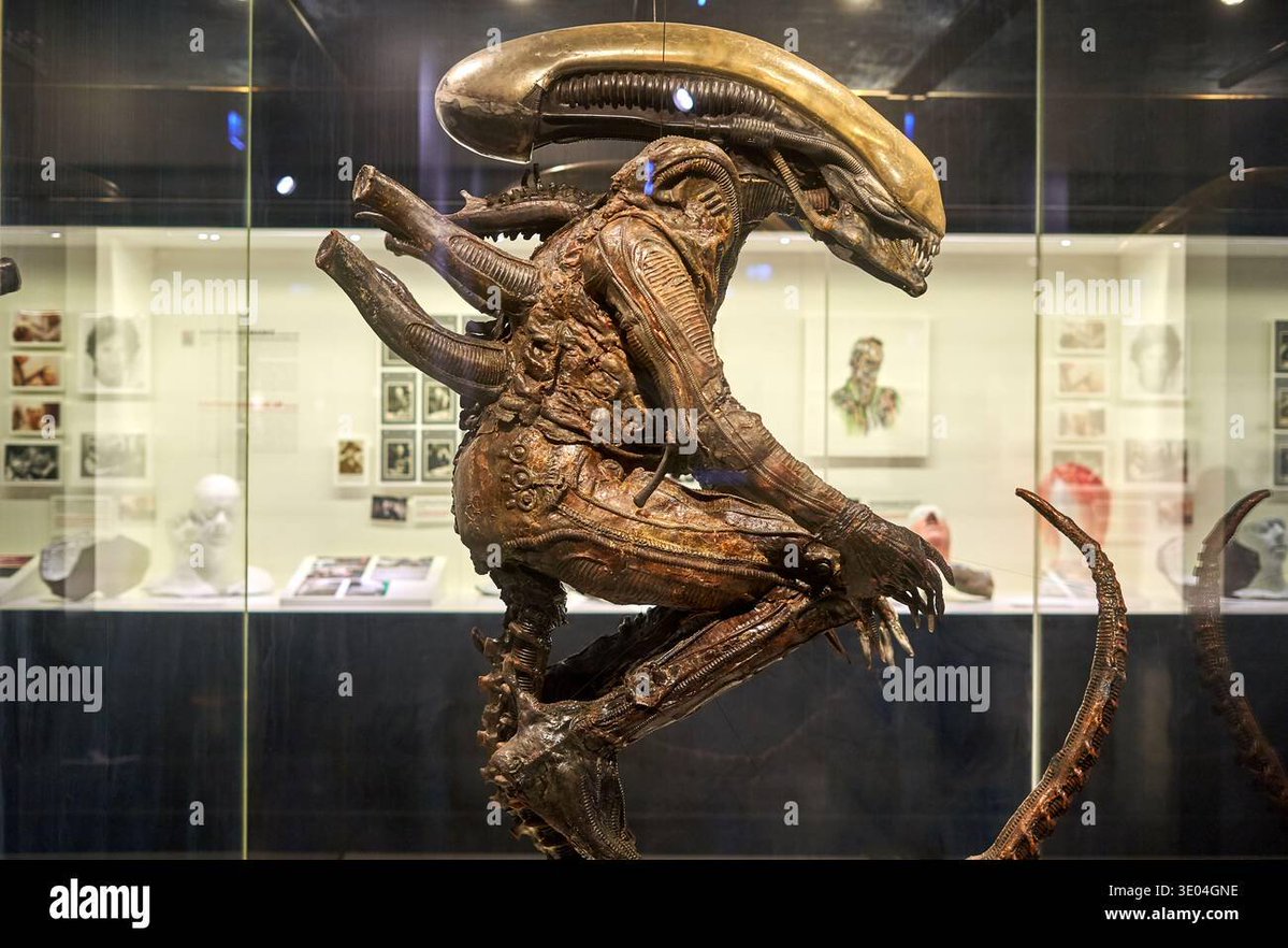 g4rip1i's tweet photo. @yastamuyurum Çocuğun kafa neden alien gibi https://t.co/ZlhixHfWLe