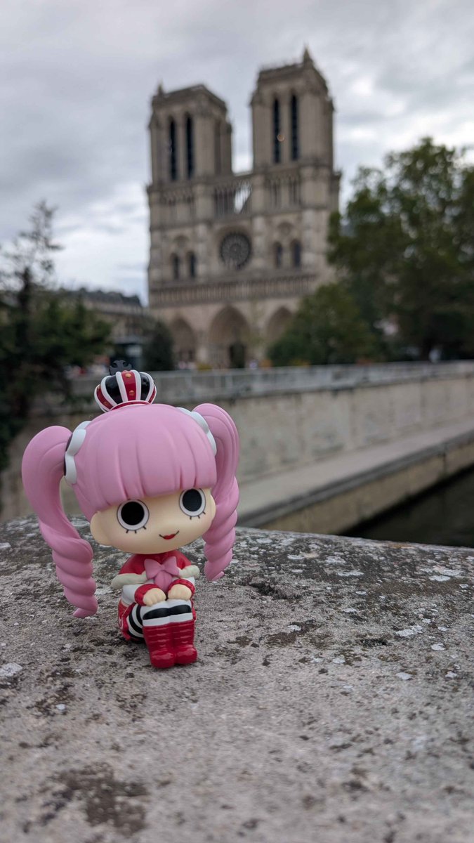 poupeechagrin's tweet photo. perona visits notre dame https://t.co/YxyeBKdYqE