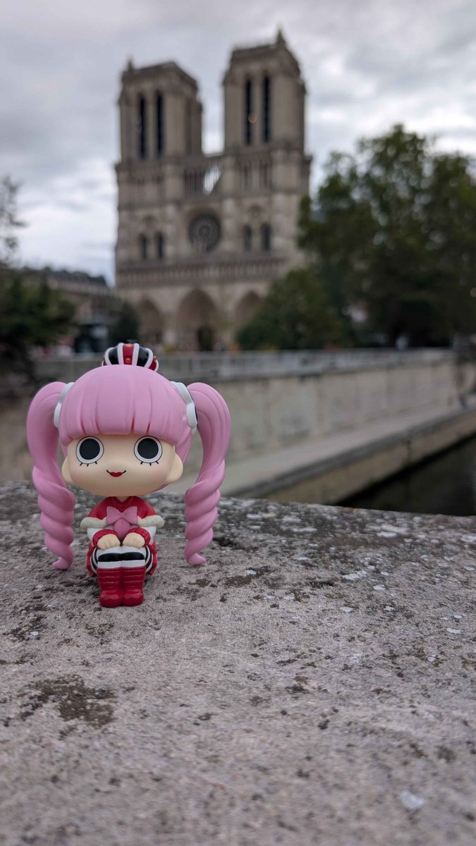 poupeechagrin's tweet photo. perona visits notre dame https://t.co/YxyeBKdYqE