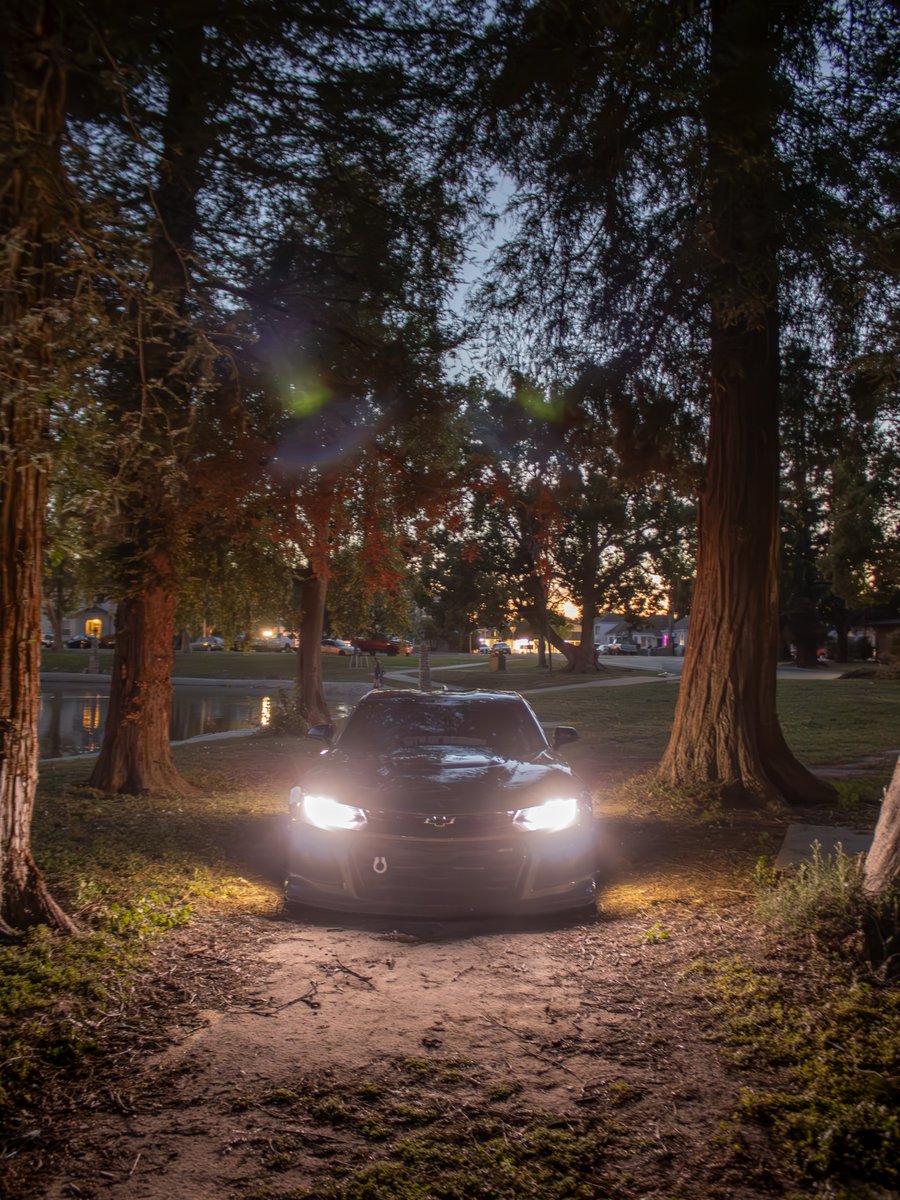 Soulokii's tweet photo. Wow, I can’t believe I forgot to post these night photos from my shoot with Nightfall. I need to do more night shoots, so reach out if you want one. https://t.co/En0gY4287H
