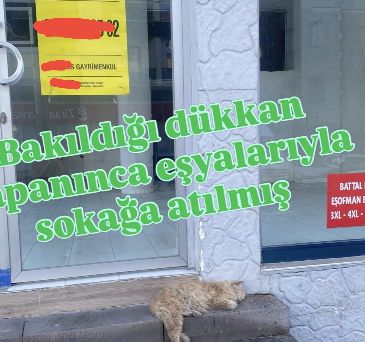 ZamHaberAjans's tweet photo. Bakıldığı dükkan kapanınca yalnızlıkla baş başa kalan kedinin yaşadığı hüzün: https://t.co/fe5sPIPOdJ