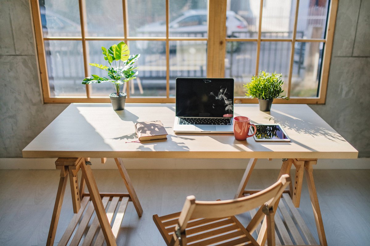 HasanYavuzicz9's tweet photo. My cozy morning work corner  Minimal setup, maximum focus https://t.co/aAbwAQWIPP