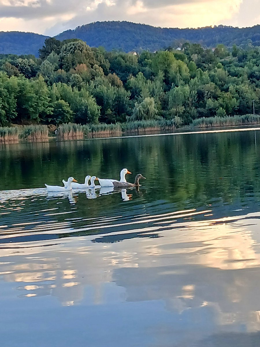 mirsohadzija's tweet photo. Posjetite Rajsko jezero u Živinicama! Nudimo jedinstven spoj historije, prirode i deponije na otvorenom. Osjetite miris prošlosti i raspadanja plastike u istom trenu. Ulaz besplatan, ekološka svijest ... #TurizamBiH #Zivinice https://t.co/ljAv1rHvYR