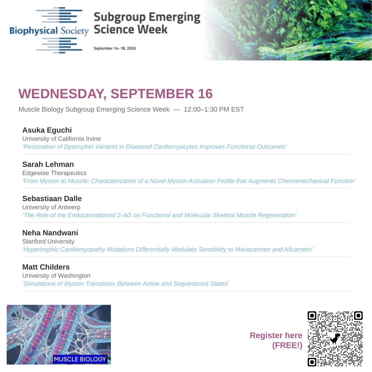 S_HamiltonLab's tweet photo. Amazing turnout so far for Muscle Biology Subgroup Emerging Science Week — 150+ attendees and counting! @BiophysicalSoc 

Two more days to go. Don't miss Wednesday &amp; Thursday's lineups below. Free to join, drop in whenever you can. Register: https://t.co/S5KgDEvxoV https://t.co/MsEdvAenIR