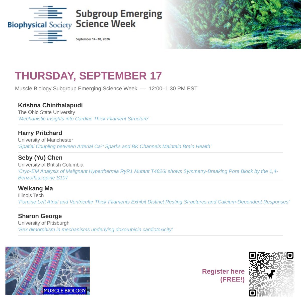 S_HamiltonLab's tweet photo. Amazing turnout so far for Muscle Biology Subgroup Emerging Science Week — 150+ attendees and counting! @BiophysicalSoc 

Two more days to go. Don't miss Wednesday &amp; Thursday's lineups below. Free to join, drop in whenever you can. Register: https://t.co/S5KgDEvxoV https://t.co/MsEdvAenIR