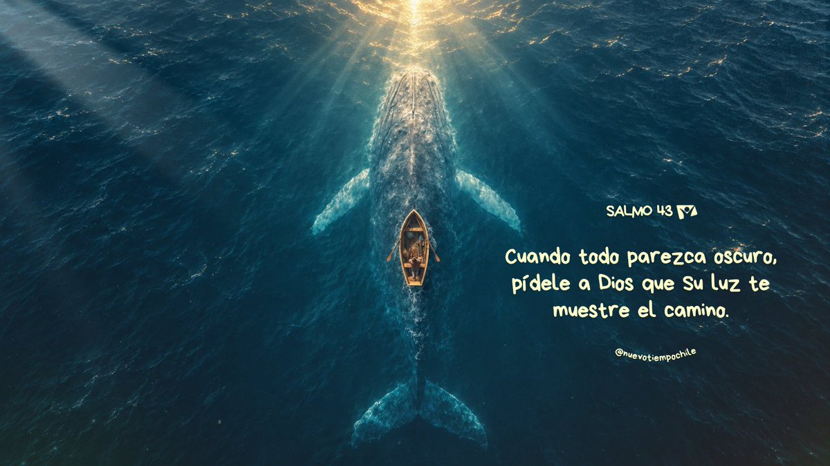 ntchile's tweet photo. Cuando todo parezca oscuro, confía en Dios: Su luz iluminará tus pasos y te mostrará el camino. 💙

#RPSP #PrimeroDios #Salmo43
🎧 Escucha aquí: https://t.co/thhhZEtpKo https://t.co/3tQsAvHKmR