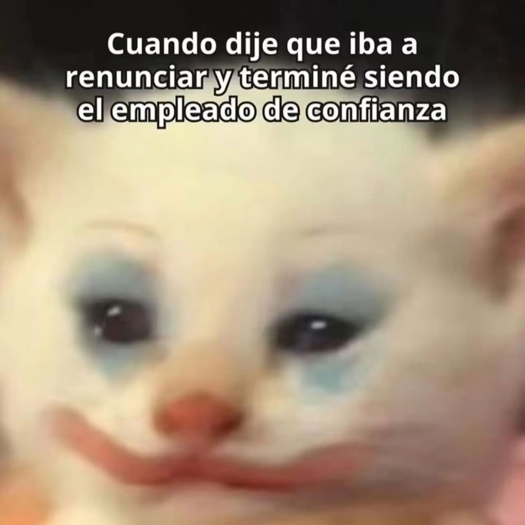 angelo_uf's tweet photo. https://t.co/VhfIswdL9o