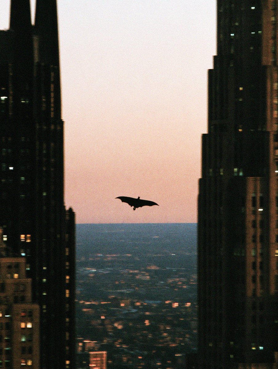 iamnotsrc's tweet photo. the dark knight https://t.co/pgZteToYd2