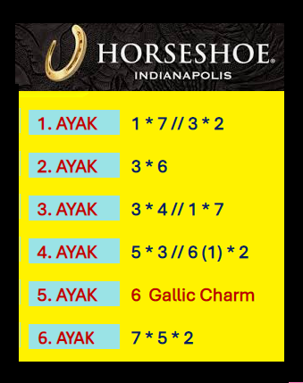 AyhanDevrimAkin's tweet photo. #Horseshoe #Indianapolis 🏇 🇺🇸 #Indiana #Downs 🇺🇸 🏇
15*Eylül 1. ve 2. Altılı Ganyan Şablonlarım...
Şansınız Bol Olsun. 🍀🍀🍀 https://t.co/fxzzmTFJfW
