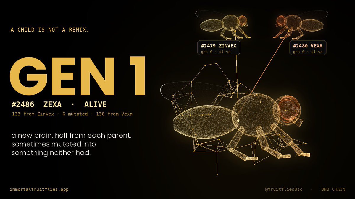 fruitfliesBsc's tweet photo. #2479 zinvex was bold. 
#2480 vexa was patient.

Their child, #2486 zexa, is neither and both. 263 weights, half from each, 6 mutated into instincts no fly has ever carried.

This is what breeding actually is. Not a mint. A bloodline.

https://t.co/aeC1W2wcvQ https://t.co/z1tGcF8xzR