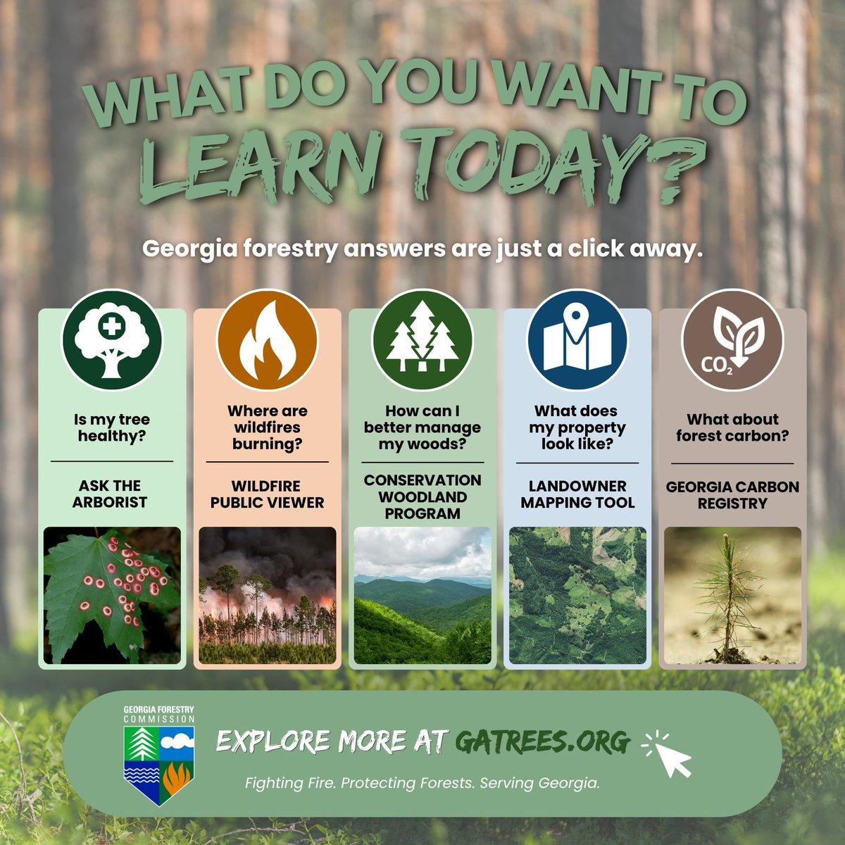GaTrees's tweet photo. 💻🌲 What do you want to learn today?

Tree questions? 🌳
Wildfire activity? 🔥
Forest management? 🌲
Property mapping? 🗺️
Forest carbon? ♻️

For #NationalOnlineLearningDay, explore the tools, information &amp; resources available from GFC at https://t.co/lvgPp63eA8. https://t.co/0991rKWWPY